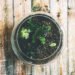 DIY Terrariums, terrariums, how to make a terrarium, diy, green gift, green diy,