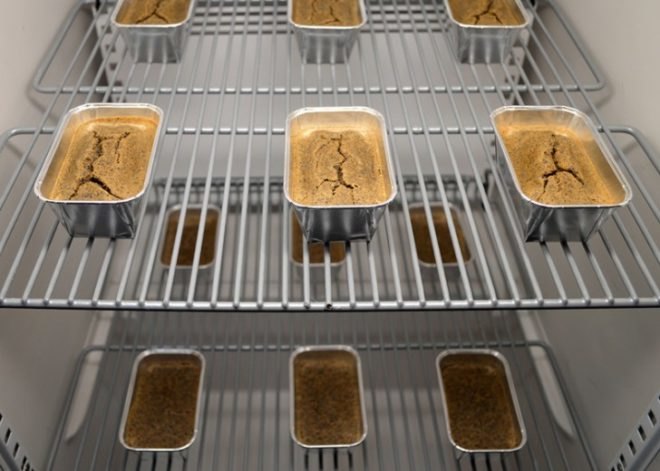 Búi Bjarmar Aðalsteinsson's Fly Factory, insect larvae production, innovative inventions, sustainable food, sustainable food production, edible bugs, insects as food, insect factories, Food and Agriculture Organisation of the United Nations, Icelandic Academy of the Arts