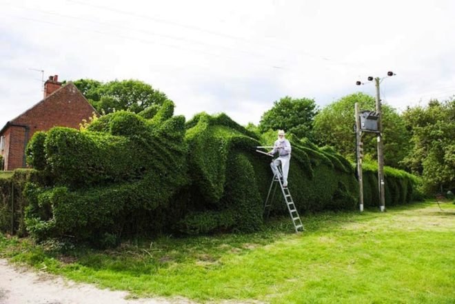 Art, Animals, Botanical, Green Materials, Gardening, John Brooker, dragon hedge, england, green hedge, hedge sculpting