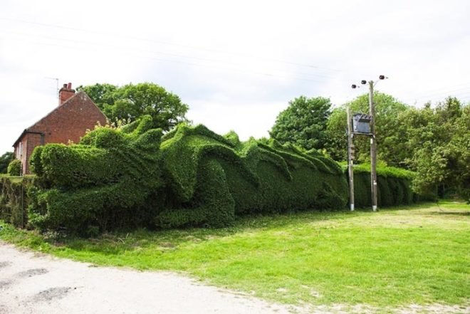 Art, Animals, Botanical, Green Materials, Gardening, John Brooker , dragon hedge, england, green hedge, hedge sculpting