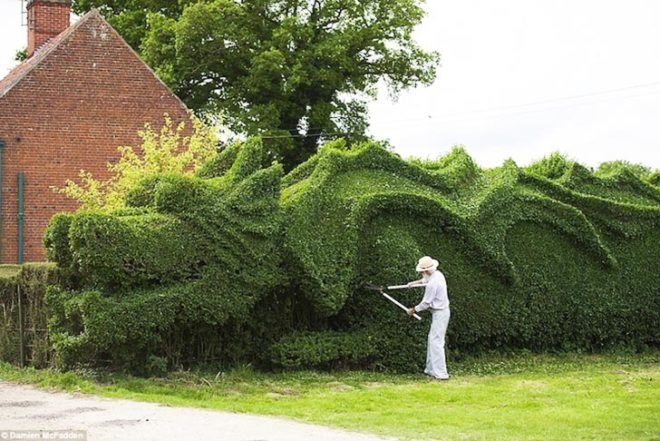 Art, Animals, Botanical, Green Materials, Gardening, John Brooker , dragon hedge, england, green hedge, hedge sculpting