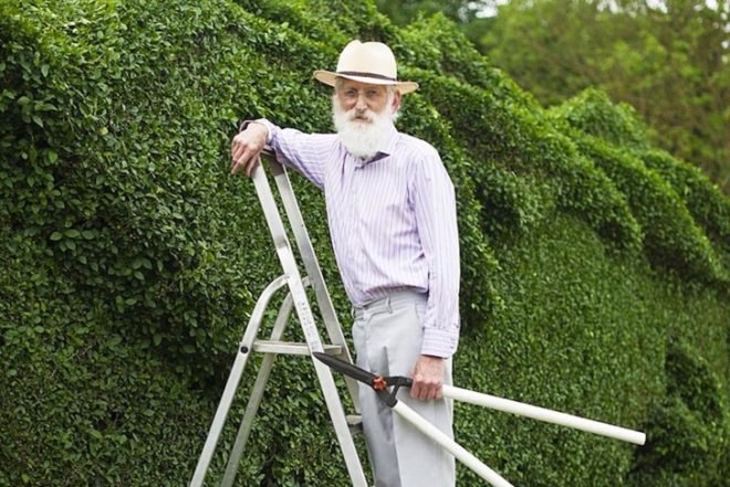 Art, Animals, Botanical, Green Materials, Gardening, John Brooker, dragon hedge, england, green hedge, hedge sculpting