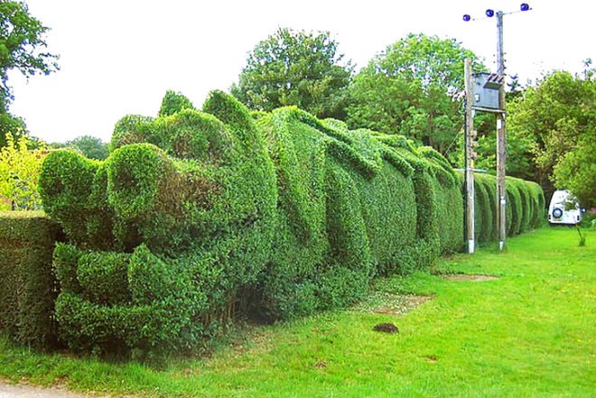 Art, Animals, Botanical, Green Materials, Gardening, John Brooker , dragon hedge, england, green hedge, hedge sculpting