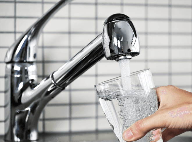 nyc water, new york city tap water, nyc tap water, copepods, tiny shrimp in tap water, tiny shrimp in nyc tap water, does nyc tap water contain tiny shrimp, crustaceans in tap water, nyc water week, tiny crustacean in water, nyc water vegan, nyc water kosher, is nyc water kosher