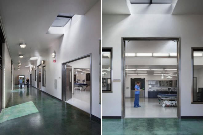 Oakland Zoo Veterinary Hospital, Noll and Tam, oakland zoo, veterinary hospital, oakland, zoo, leed silver