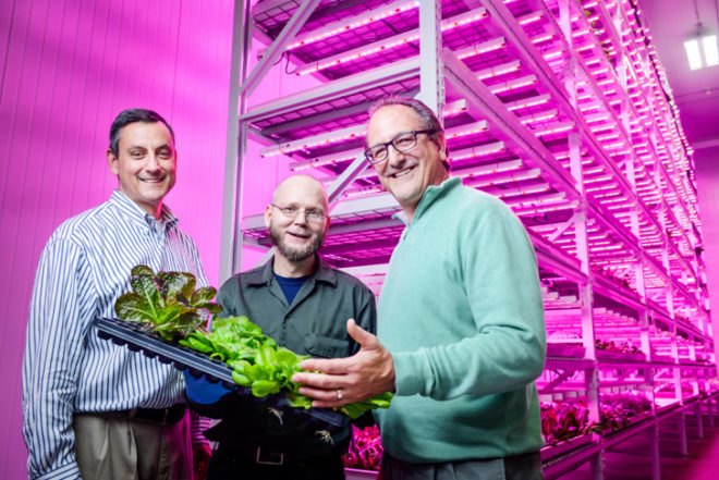 Green Sense Farms (GSF), Philips LED lights, LED lights, urban farms, urban farms Indianapolis, indoor farming, indoor garden, indoor farm lighting, green lighting, light technology, LED-lit indoor garden, sustainable food, organic food, LED technology, hydroponic technology, hydroponic garden