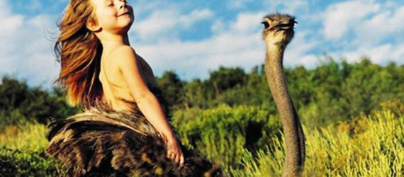 Alain Degré, Sylvie Robert, african childhood, Tippi Degré, growing up with wild animals, animals, photography