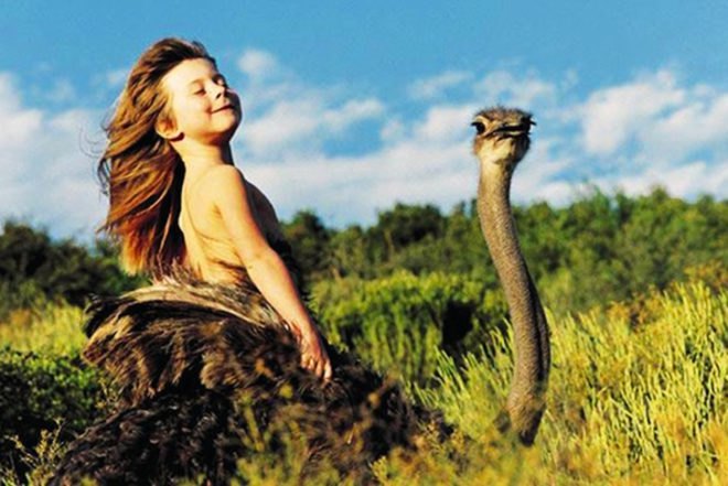 Alain Degré, Sylvie Robert, african childhood, Tippi Degré, growing up with wild animals, animals, photography