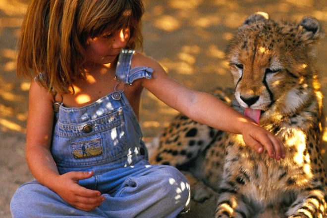 Alain Degré, Sylvie Robert, african childhood, Tippi Degré, growing up with wild animals, animals, photography