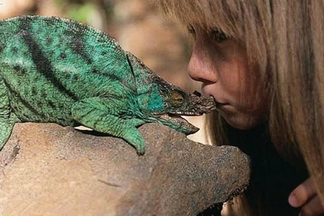 Alain Degré, Sylvie Robert, african childhood, Tippi Degré, growing up with wild animals, animals, photography