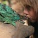 Alain Degré, Sylvie Robert, african childhood, Tippi Degré, growing up with wild animals, animals, photography
