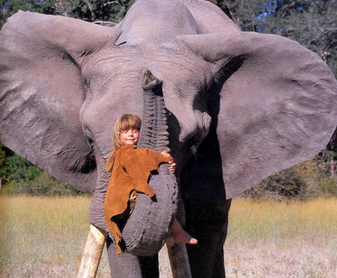 Alain Degré, Sylvie Robert, african childhood, Tippi Degré, growing up with wild animals, animals, photography