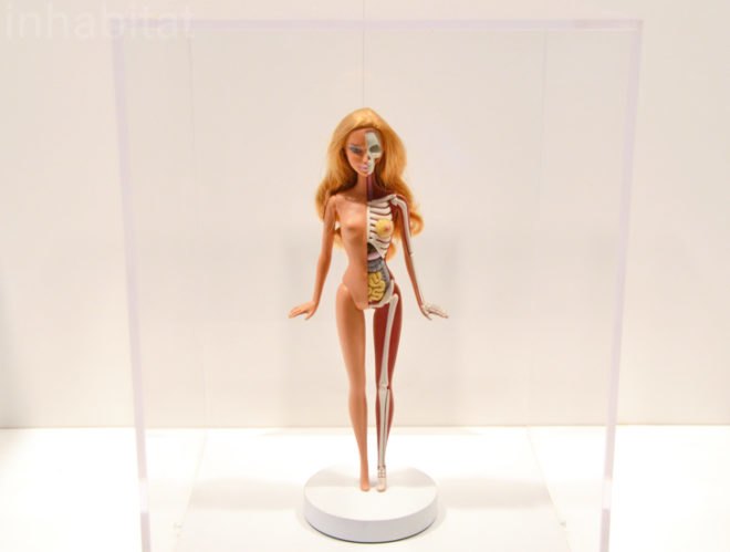 Jason Freeny, Anatomical Barbie, bklyn designs, new york design week, bklyn designs 2014, sustainable design, green design, green furniture, reclaimed wood, sustainable furniture, green interiors, sustainable interiors, green products, eco friendly design, recycled materials, sustainable materials, nydw, new york design week 2014