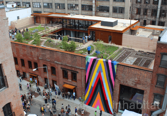 eco design, green architecture, green design, green nyc architecture, green roof, green roofs, greenpoint green, kickstarter, kickstarter green roof, kickstarter greenpoint, kickstarter headquarters, Ole Sondresen, Ole Sondresen Architects, sustainable design, kickstarter roof, kickstarter roof garden