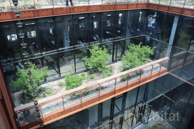 eco design, green architecture, green design, green nyc architecture, green roof, green roofs, greenpoint green, kickstarter, kickstarter green roof, kickstarter greenpoint, kickstarter headquarters, Ole Sondresen, Ole Sondresen Architects, sustainable design, kickstarter roof, kickstarter roof garden