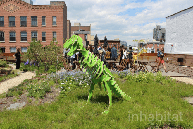 eco design, green architecture, green design, green nyc architecture, green roof, green roofs, greenpoint green, kickstarter, kickstarter green roof, kickstarter greenpoint, kickstarter headquarters, Ole Sondresen, Ole Sondresen Architects, sustainable design, kickstarter roof, kickstarter roof garden