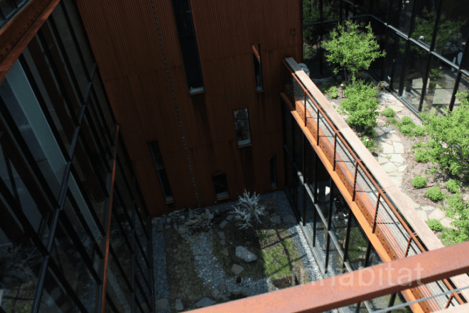 eco design, green architecture, green design, green nyc architecture, green roof, green roofs, greenpoint green, kickstarter, kickstarter green roof, kickstarter greenpoint, kickstarter headquarters, Ole Sondresen, Ole Sondresen Architects, sustainable design, kickstarter roof, kickstarter roof garden