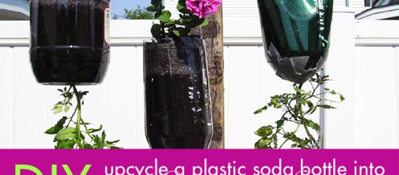 bottle planters, recycled bottle planters, hanging planters, diy planters, how to make a bottle planter, soda bottle planter, recycled materials, green gardening, eco gardening