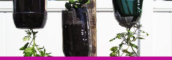 bottle planters, recycled bottle planters, hanging planters, diy planters, how to make a bottle planter, soda bottle planter, recycled materials, green gardening, eco gardening