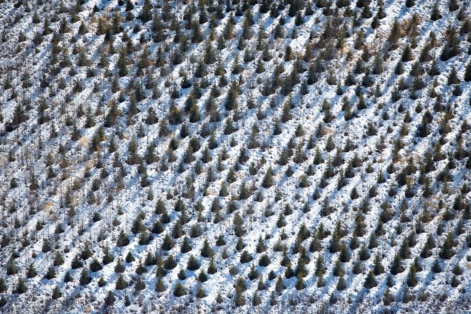 tar, sands, oil, sands, alberta, keystone, xl, alex, maclean, aerial, photography, photographer,
