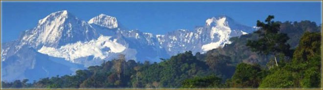 Alunaris, Alunaris project, tree house, treehouse, treehouses, Colombia, Sierra Nevada, coastal mountains, Indiegogo, conservation, trees, tree, toucans, monkeys, Andes, Caribbean, mountains