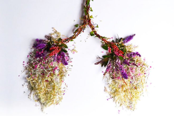Camila Carlow, human organs, wild plants, art, botanical, biodegradable art, berries, moss