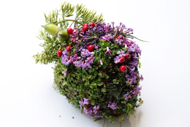 Camila Carlow, human organs, wild plants, art, botanical, biodegradable art, berries, moss