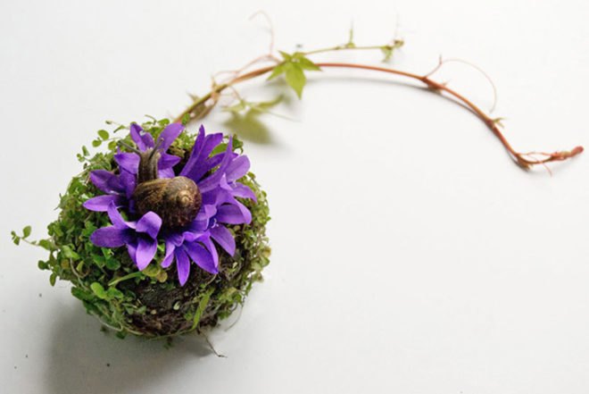 Camila Carlow, human organs, wild plants, art, botanical, biodegradable art, berries, moss