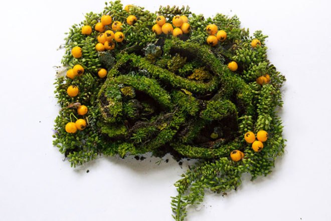 Camila Carlow, human organs, wild plants, art, botanical, biodegradable art, berries, moss