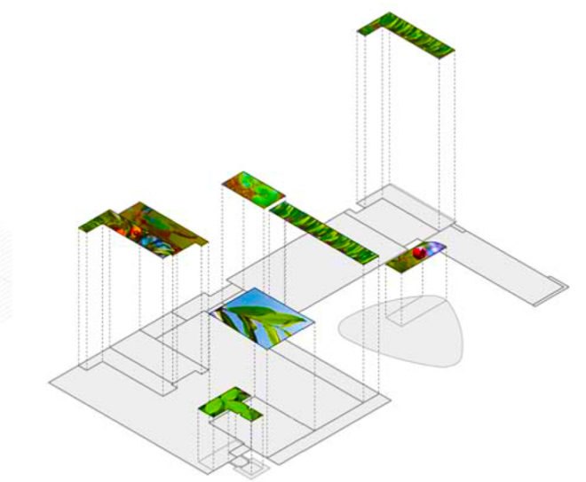 Cannon Design, NIPPaysage, Montreal CHUM hospital, green roof building, LEED Silver hospital, ecological design, large scale green project, medicinal herb roof, energy conservation
