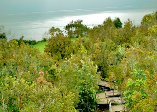 Espejo De Luna, eco-resort Chile, Chilean architecture, eco-travel, eco-hotel Chile, boat-shaped architecture, locally sourced building material, wood architecture, hotel design, resort design, low carbon footprint, carbon emissions, green hotel design