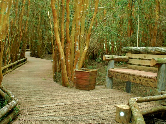 Espejo De Luna, eco-resort Chile, Chilean architecture, eco-travel, eco-hotel Chile, boat-shaped architecture, locally sourced building material, wood architecture, hotel design, resort design, low carbon footprint, carbon emissions, green hotel design