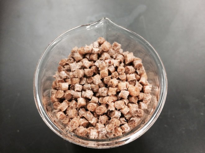 bio-plastic, plastic made with tomato waste, heinz tomatoes, heinz, ford, Dr. Ellen Lee, Ford bio-plastic car parts, storage bins made with bio-plastic, lightweight bio-plastics, recycled materials, food waste, reduce reuse recycle, natural fibers, Bioplastic Feedstock Alliance