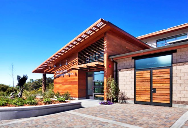 oakland zoo, oakland, oakland zoo veterinary hospital, oakland zoo veterinary, oakland zoo vet, veterinary, veterinary hospital, vet, eco vet, eco veterinary, eco zoo, leed silver, noll and tam architects, noll & tam architects, noll and tam, green design, green building, green architecture, sustainable building, sustainable design, eco design