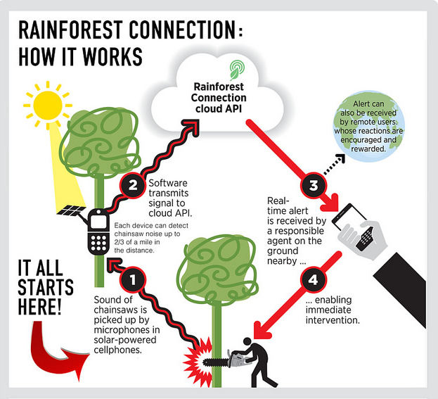 Rainforest Connection, Kickstarter, RFCx, Rainforest Connection uses old smartphones to monitor illegal logging and poaching, deforestation, habitat loss, poaching, logging, solar power, Topher White, Zoological Society of London, crowdfunding campaign