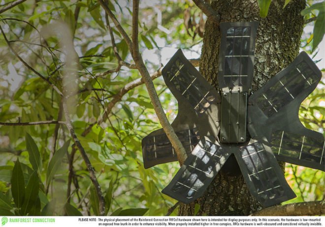 Rainforest Connection, Kickstarter, RFCx, Rainforest Connection uses old smartphones to monitor illegal logging and poaching, deforestation, habitat loss, poaching, logging, solar power, Topher White, Zoological Society of London, crowdfunding campaign