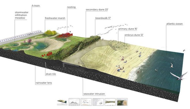 Local Office Landscape Architecture, Rockaways, hurricane, Hurricane Sandy, architecture, sunken forest, dual sand dunes, flooding, resiliency, Walter Meyer, Rockaways Sunken Forest, Nature Reserve, New York Parks