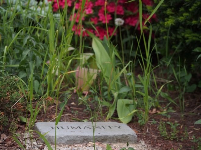 stone, humanity, flowers