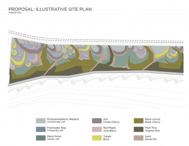 Local Office Landscape Architecture, Rockaways, hurricane, Hurricane Sandy, architecture, sunken forest, dual sand dunes, flooding, resiliency, Walter Meyer, Rockaways Sunken Forest, Nature Reserve, New York Parks