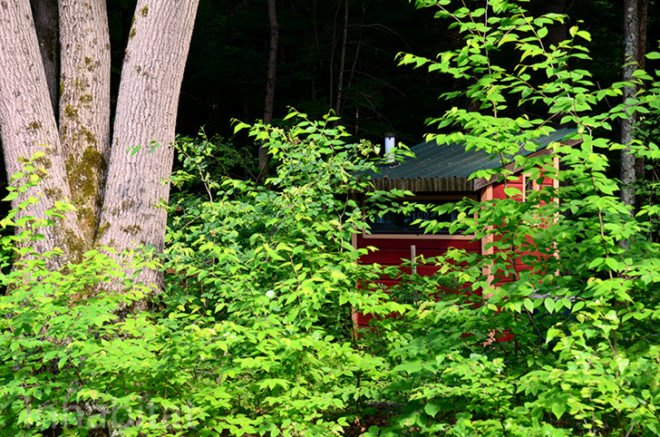Awakening Garden, Blissful Bedrooms, tiny houses, cabins, nature retreat, Palenville, New York retreat, New York Getaway, Catskills Mountains, repurposed materials, recycled materials, green design, sustainable design, eco-design, Thoreau, outdoor shower, nature trail, teepee, forest retreat, forest getaway, new york weekend getaway, where to get out of New York, camping outside new york, cabins