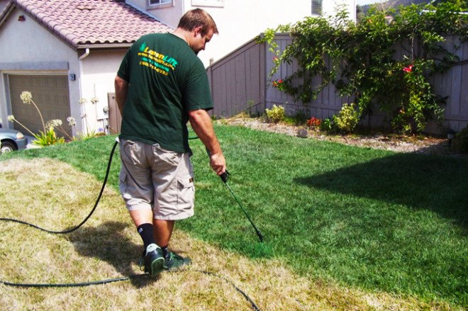 Green Canary California, Green Canary grass paint, painting grass, painting lawn, green lawn, green grass, California lawn, California grass, painting California lawn, painting California grass, panting turf, Painting California turf, drought water solutions, drought lawn, drought yard solutions, drought water shortages, drought lawn watering, LawnLift