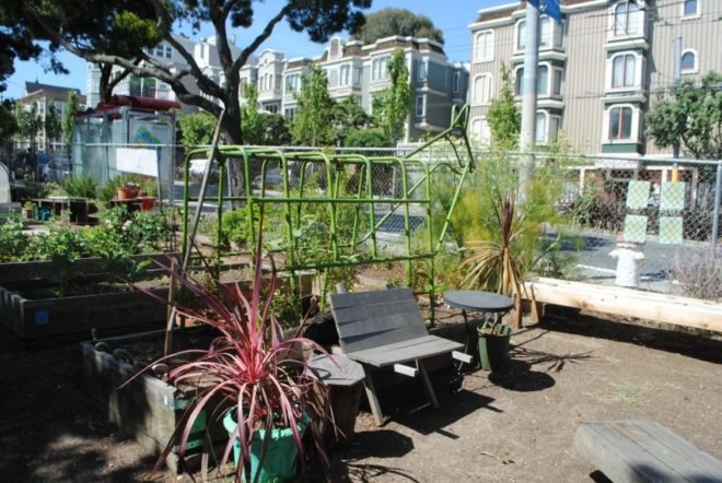 urban, garden, community, san francisco, public space, green, eco, plants,