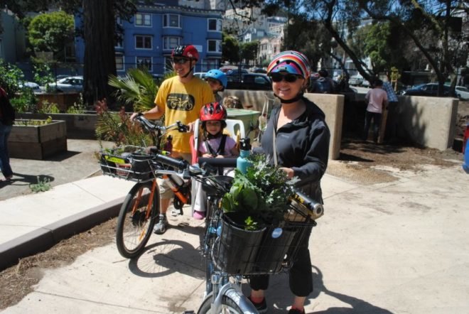 urban, garden, community, san francisco, public space, green, eco, plants,