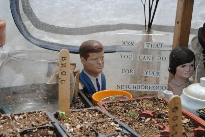 urban, garden, community, san francisco, public space, green, eco, plants,