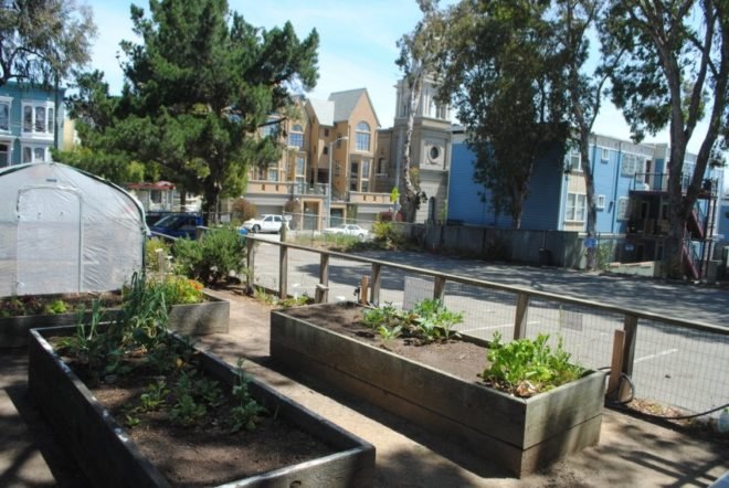urban, garden, community, san francisco, public space, green, eco, plants,