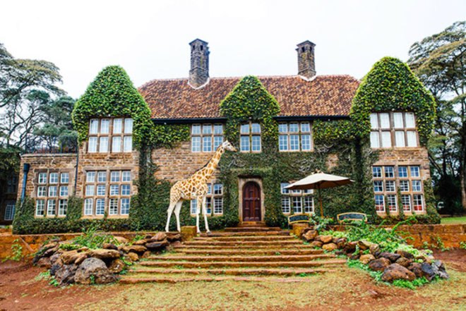 Giraffe Manor, Kenya, Eco accomodation, Rothschild giraffes, African Fund for Endangered Wildlife (AFEW), The Safari Collection, animals sanctuary