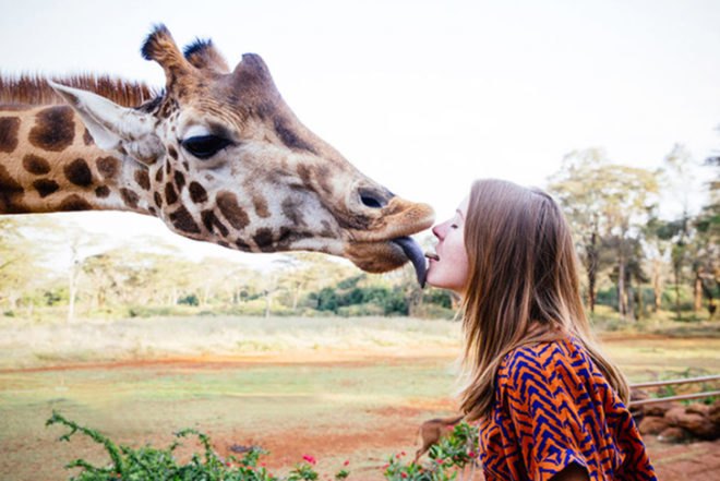 Giraffe Manor, Kenya, Eco accomodation, Rothschild giraffes, African Fund for Endangered Wildlife (AFEW), The Safari Collection, animals sanctuary