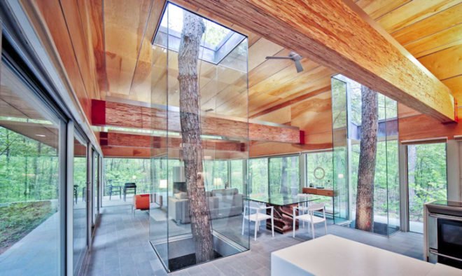 Travis Price Architects, Hayes Residence Berkley Springs, West Virginia home, glass houses, interior trees, glass facades, green architecture, residential architecture, guest house design