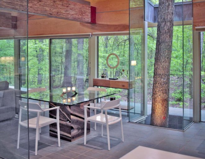 Travis Price Architects, Hayes Residence Berkley Springs, West Virginia home, glass houses, interior trees, glass facades, green architecture, residential architecture, guest house design