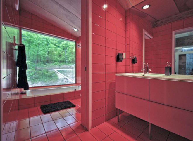 Travis Price Architects, Hayes Residence Berkley Springs, West Virginia home, glass houses, interior trees, glass facades, green architecture, residential architecture, guest house design